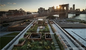 America 60 water Building roof garden